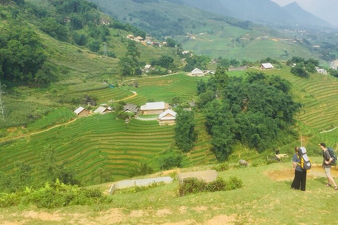 5 Hours Trekking with Terraced Rice Field in Sapa - Starting in Sapa and heading toward Y Linh Ho