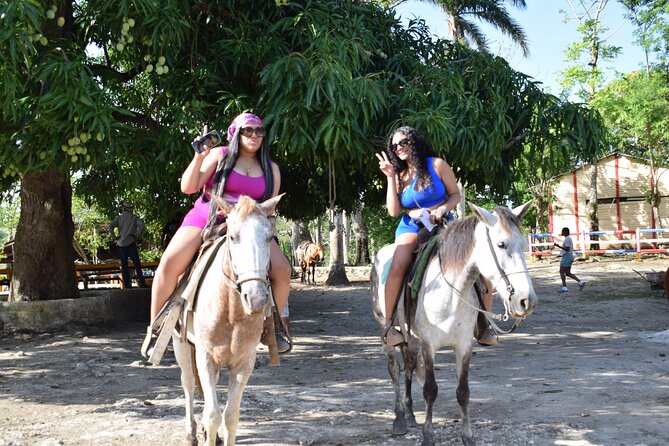 5 tours in 1 (Eco Farm/Horseback/City Tour/Buggy/Zipline) - What this Punta Cana day trip actually includes