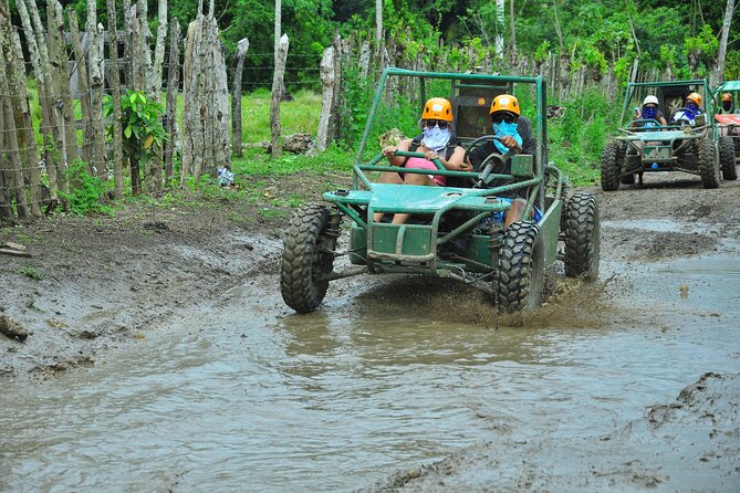 5 tours in 1 (Eco Farm/Horseback/City Tour/Buggy/Zipline) - Coffee, cocoa, and a family farm in Anamuya