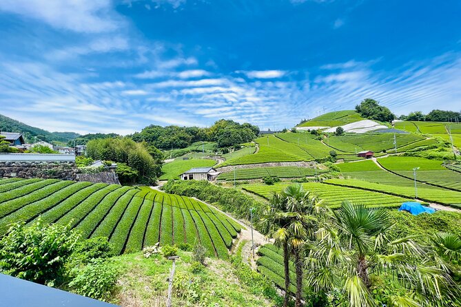 7hr Private Wazuka True Hidden Kyoto Matcha Farm Experience - Walking through two working tea farms