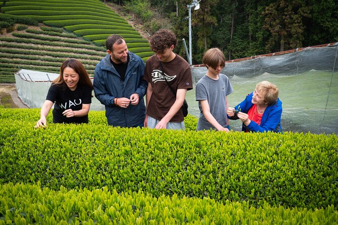 7hr Private Wazuka True Hidden Kyoto Matcha Farm Experience - Lunch inside a traditional Japanese home