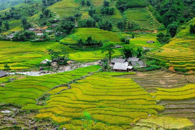 A day Trek to Rice Field in LaoChai-Tavan village-MuongHoa valley - Key points to know before booking