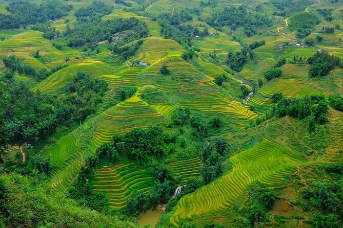 A day Trek to Rice Field in LaoChai-Tavan village-MuongHoa valley - Lao Chai: terraces, homes, and village life