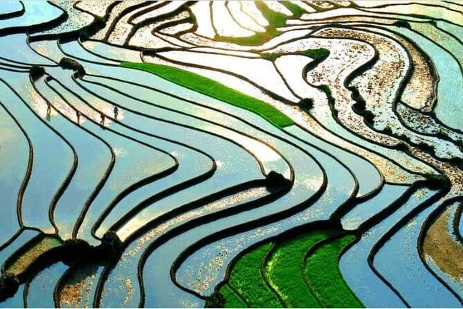 A day Trek to Rice Field in LaoChai-Tavan village-MuongHoa valley - Ta Van: the final village section