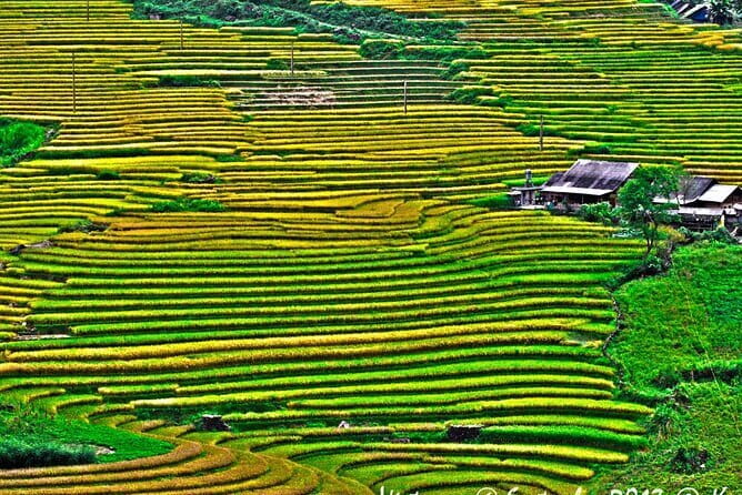 A day Trek to Rice Field in LaoChai-Tavan village-MuongHoa valley - How difficult is the walk?