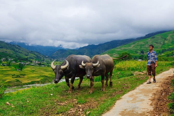 A day Trek to Rice Field in LaoChai-Tavan village-MuongHoa valley - Y Linh Ho: the first village and the wide valley view