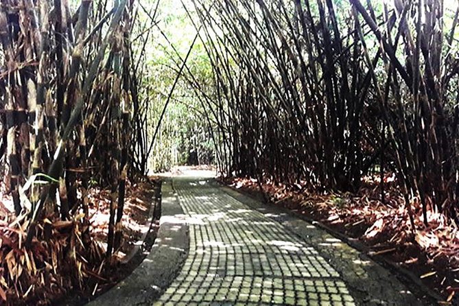 A Day Trip to Tukad Cepung & Rice Terrace - Who should book this private Bali day?