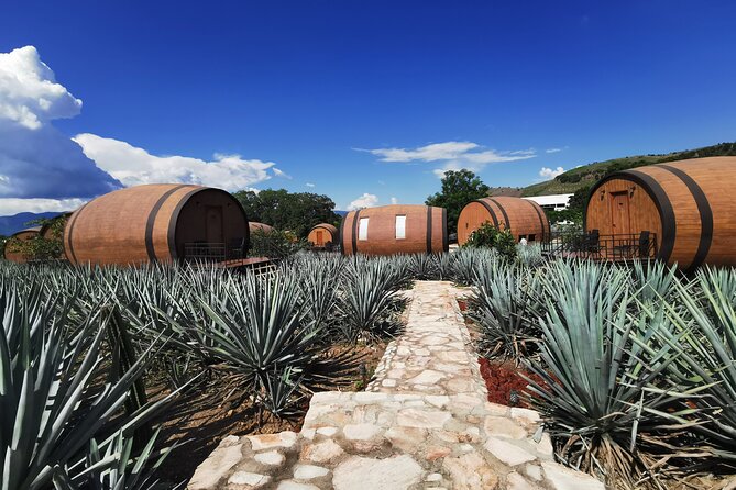 A unique tour! Visiting Hacienda Casa herradura From Guadalajara - Who will enjoy this tour most