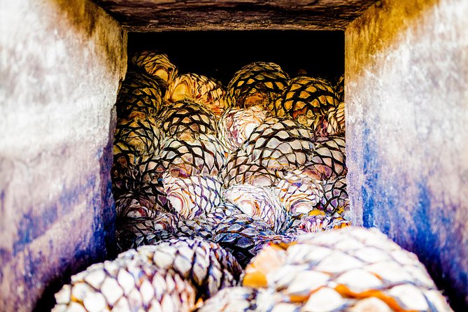 A unique tour! Visiting Hacienda Casa herradura From Guadalajara - Exploring Tequila town after the hacienda