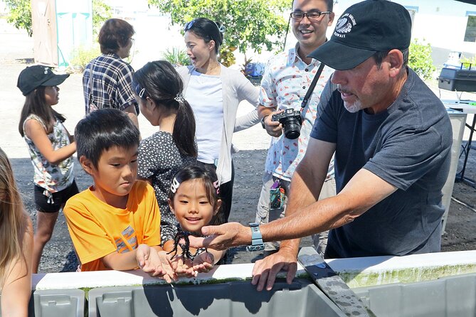 Abalone Farm Tour - What you learn about sustainable abalone farming