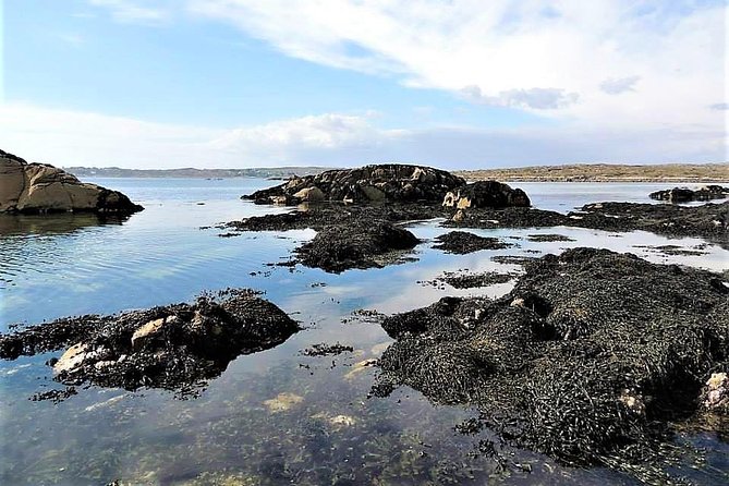 Abalone farm tour and tasting with coastal seaweed walk. Guided. 2 hours - Who will get the most from this experience?