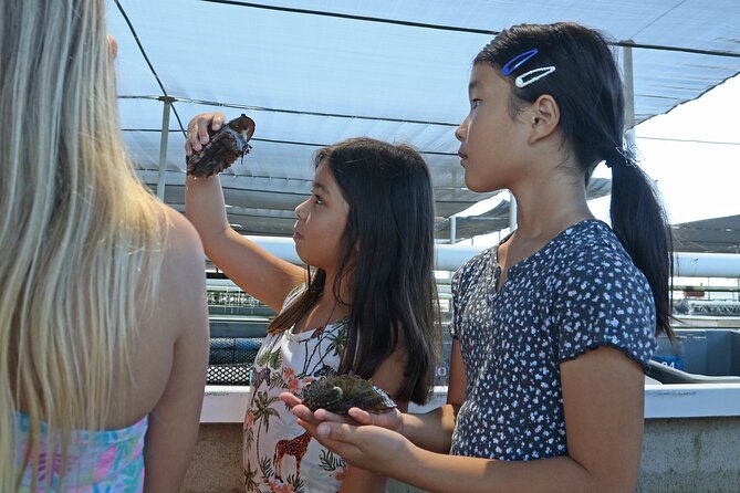 Abalone Farm Tour - Carlos, Kai, and Diana bring the farm to life