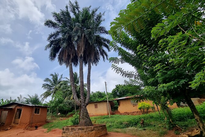 Aburi Botanic Gardens, Boti Falls,Umbrella Rock & Cocoa Farm Tour - From Accra Mall to Ghana’s Eastern Region