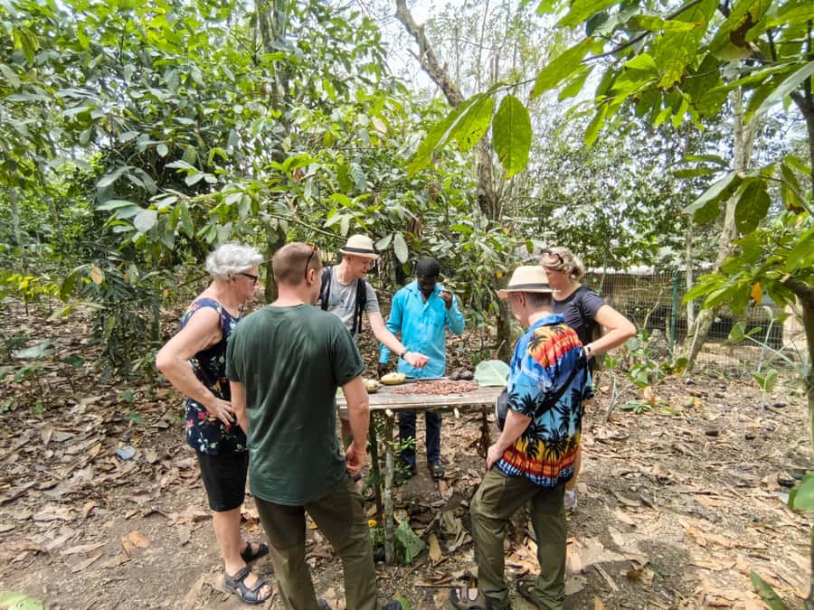 Accra: Aburi Botanical Garden, Cocoa Farm, and Waterfall … - From Accra to the Eastern Region