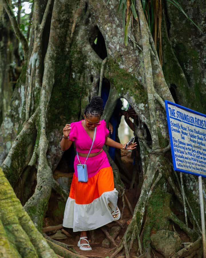 Accra: Aburi Botanical Garden, Cocoa Farm, and Waterfall … - Walking, weather, and what to pack