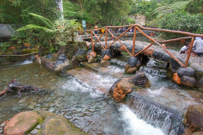 Active Volcano, Rice Field, Hot Spring, Fruit market, Tea Plantation with Lunch - Tangkuban Perahu, the volcanic highlight