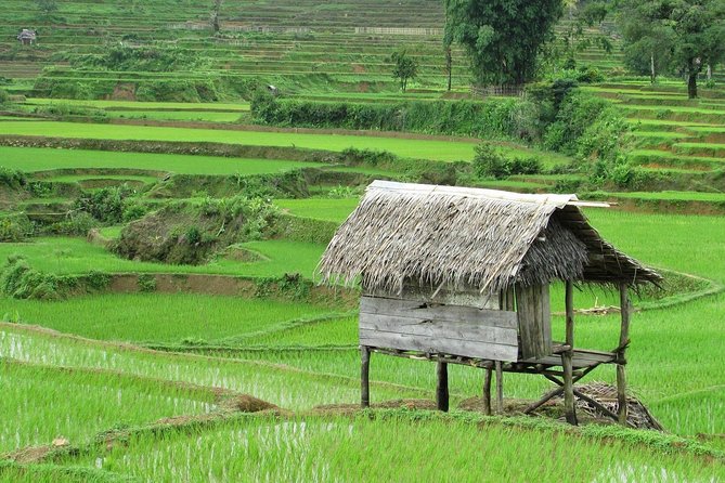 Active Volcano, Rice Field, Hot Spring, Fruit market, Tea Plantation with Lunch - Transport, timing, and group size
