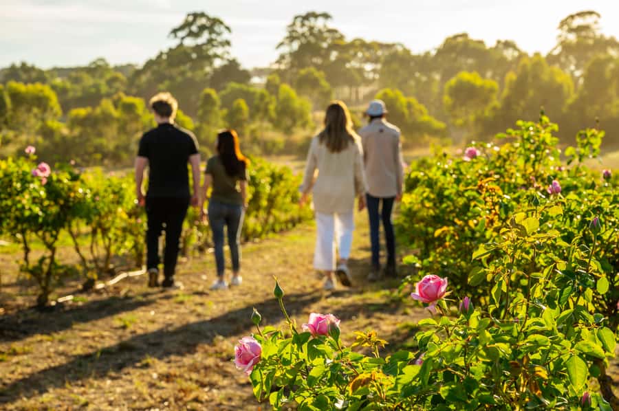 Adelaide Hills: Jurlique Farm Tour - Starting at Jurlique’s Adelaide Hills farm