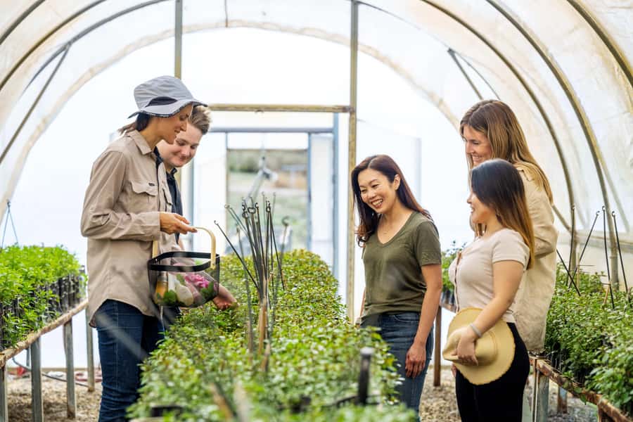 Adelaide Hills: Jurlique Farm Tour - Learning how Jurlique plants begin as seedlings