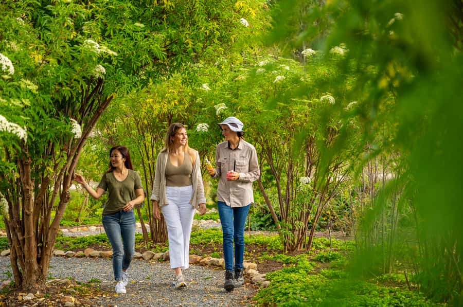 Adelaide Hills: Jurlique Farm Tour - Following the path from growing to harvesting