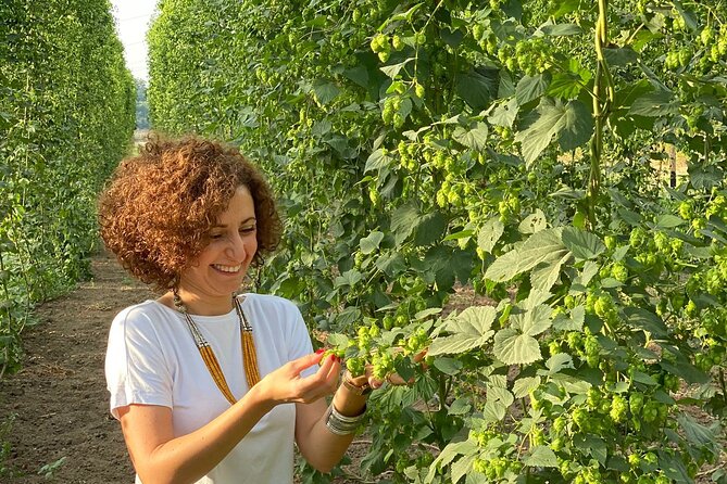 Agricultural Brewery Tour in the Roman Countryside - Walking through the barley and hops crops