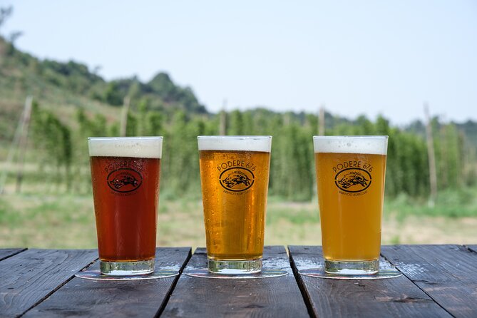 Agricultural Brewery Tour in the Roman Countryside - Who will enjoy this Roman countryside outing