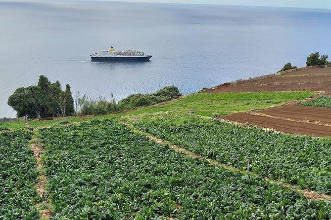 Agriculture Green Tour - Banana farms explain Madeira’s everyday economy