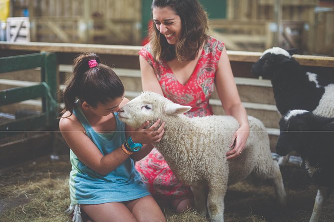 Agrodome Farm Experience including Farm Show and Farm Tour - Rotorua - The nursery and the hands-on details