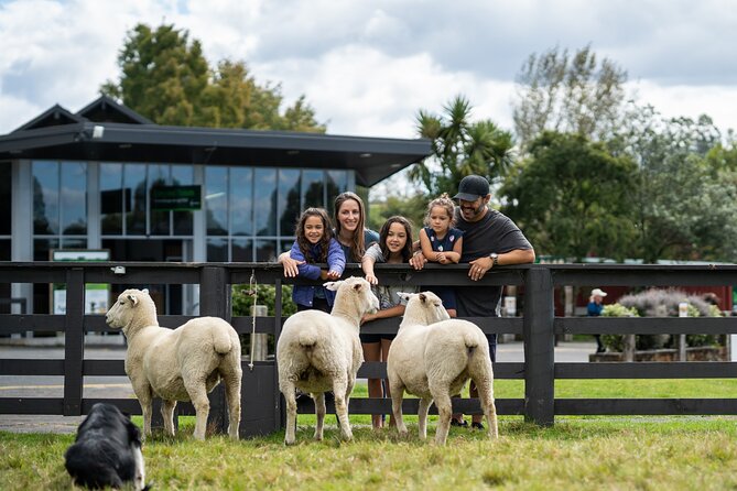 Agrodome Farm Experience including Farm Show and Farm Tour - Rotorua - What the $40.34 price buys you