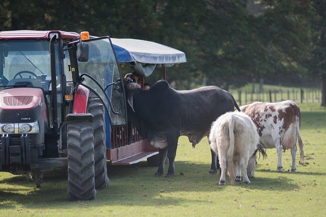 Agrodome Farm Experience including Farm Show and Farm Tour - Rotorua - Timing, transport, and the practical side