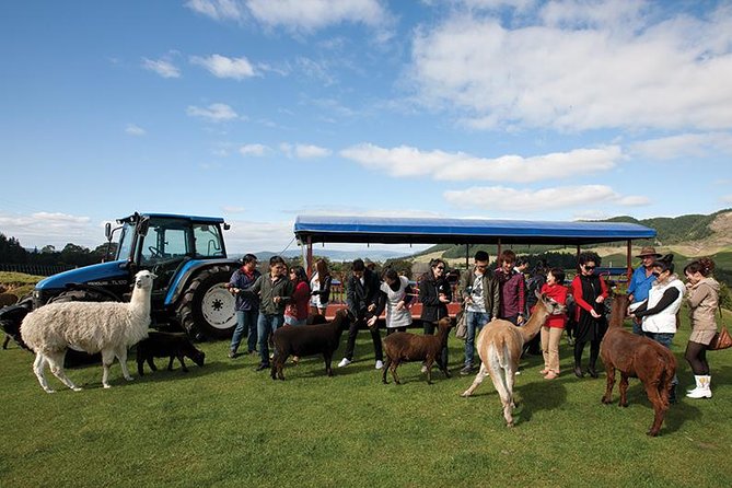 Agrodome Farm Experience including Farm Show and Farm Tour - Rotorua - What I like most about the show and tour