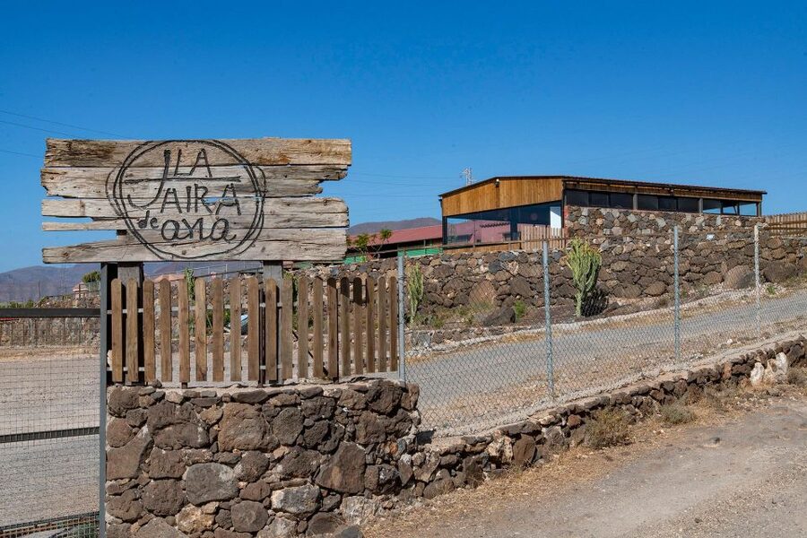 Agüimes : Be a farmer for the day at La Jaira de Ana - What your farm day at La Jaira de Ana feels like