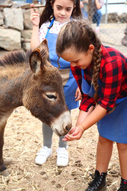 Agüimes : Be a farmer for the day at La Jaira de Ana - Timing, language, and booking details