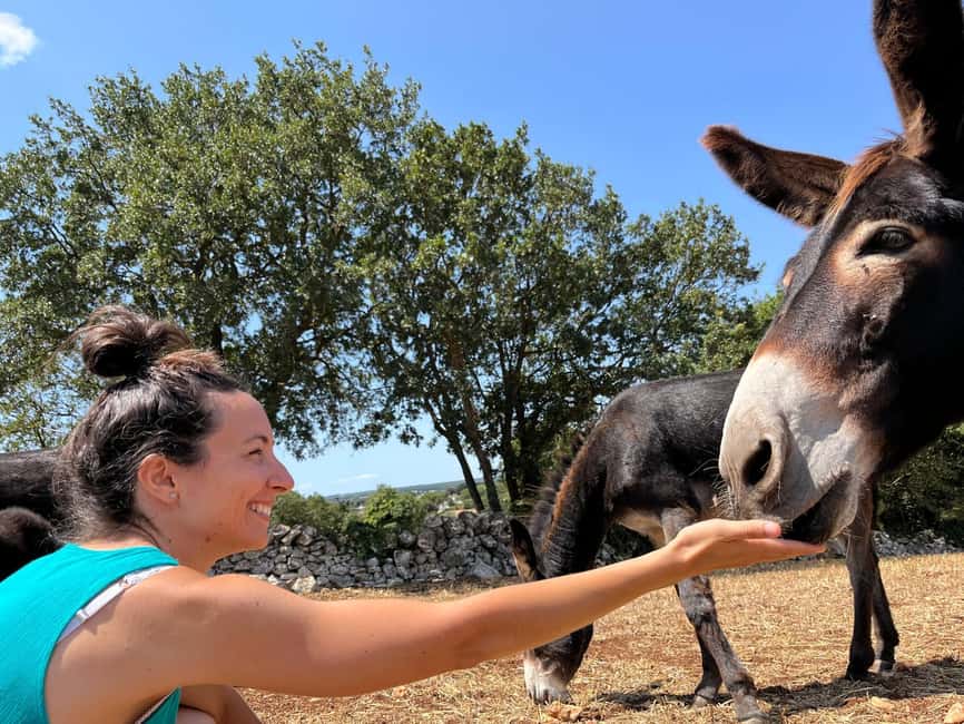 Alberobello: Guided e-bike tour + donkey farm visit - Who will enjoy this ride most