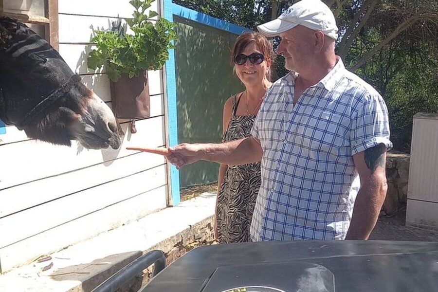 Albufeira Safari exploring villages, churches, castle & farm - Key points at a glance