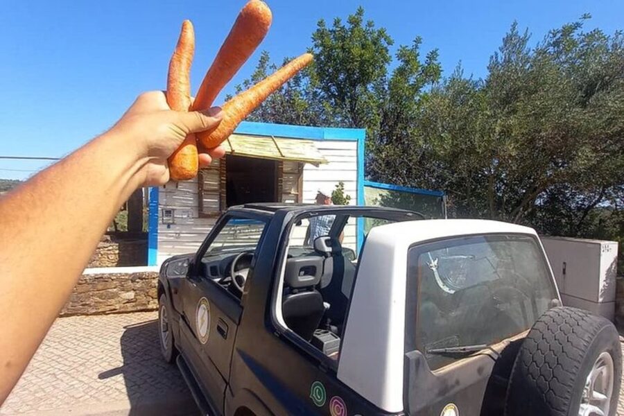 Albufeira Safari exploring villages, churches, castle & farm - Rural landmarks between the villages