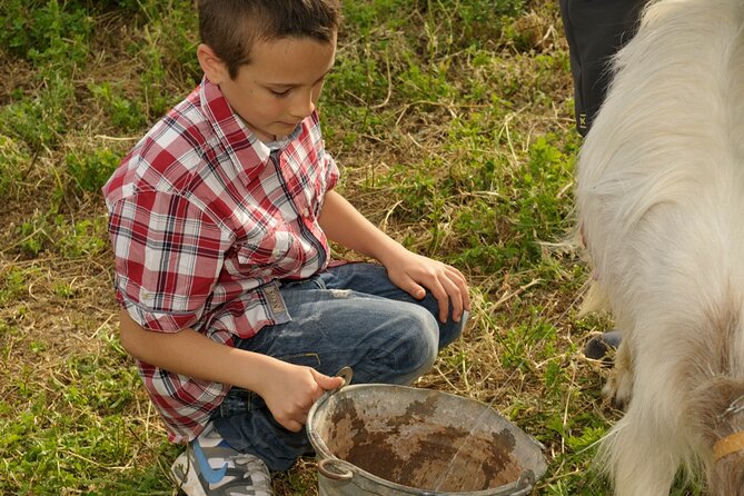 Alcamo Farm Animals and Aromatic Garden - Meeting goats, donkeys, horses, and poultry