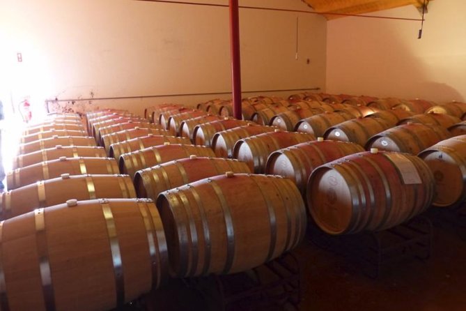 Algarve wine tour and farmer's lunch at wine estate - Why this Algarve wine day feels different