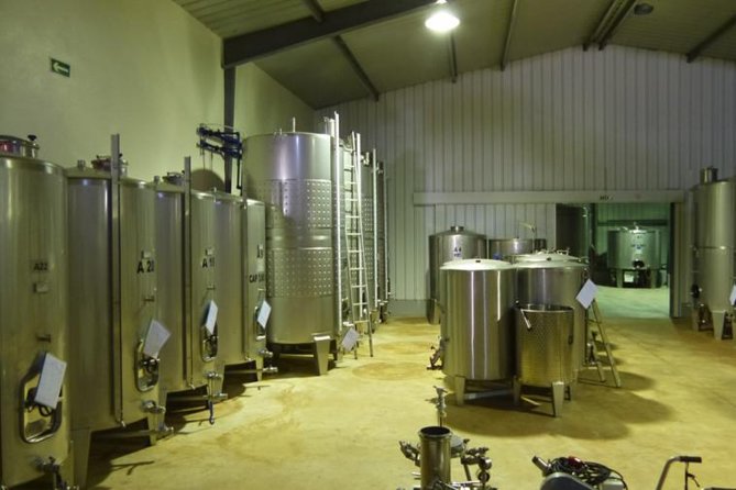 Algarve wine tour and farmer's lunch at wine estate - Starting from Portimão with an easy pickup