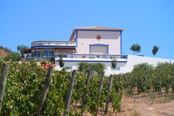 Algarve wine tour and farmer's lunch at wine estate - Three tastings, lunch, and the value of the price