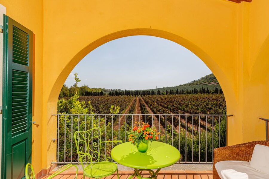 Alghero: Wine and Olive Oil Tasting at a Local Farm - The Food Pairings: Pecorino, Olives, Bread, and More