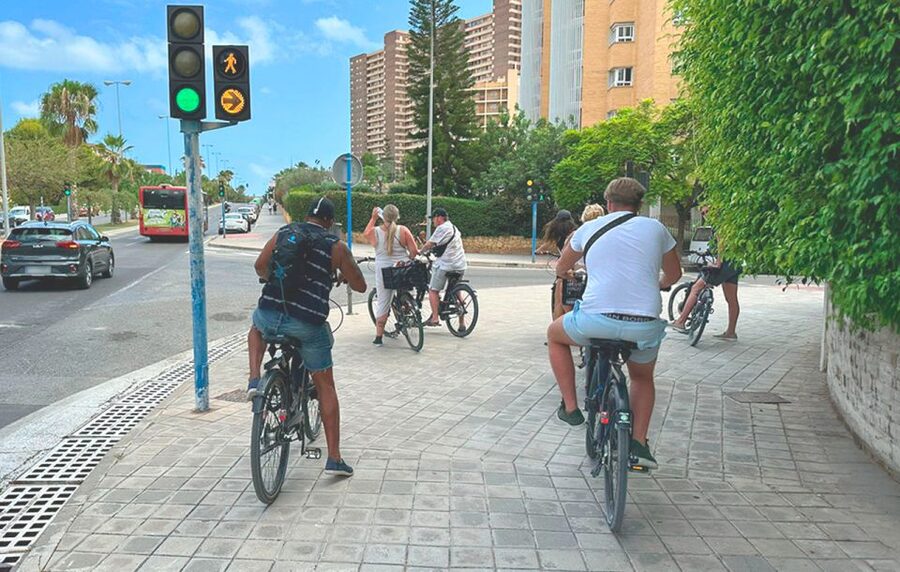 Alicante : E-Bike Coast Tour, Roman Fish Farm and Snorkeling - Who will enjoy this Alicante outing?