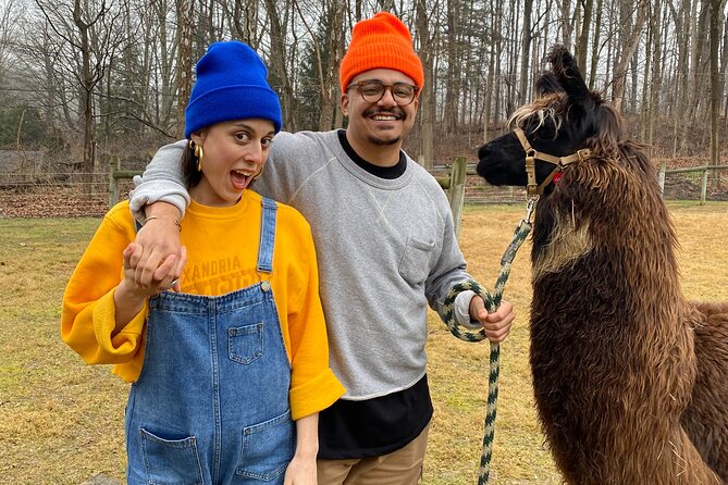Alpaca and Llama Encounter with Guided Walk - Meeting the Herd at Hidden Brook Ranch