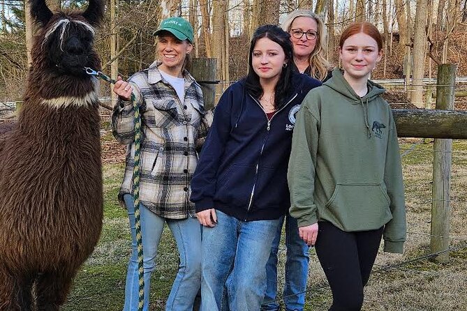 Alpaca and Llama Encounter with Guided Walk - The Best Way to Enjoy the Alpaca Walk