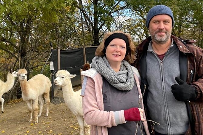 Alpaca and llama hike Moedling near Vienna - Starting at In den Messerern in Mödling
