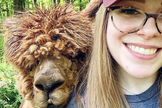 Alpaca and Llama Trek in Pleasant Valley - Key points to know before you book