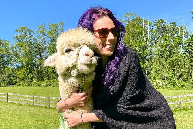 Alpaca and Llama Trek in Pleasant Valley - Fields, wooded paths, and photo stops