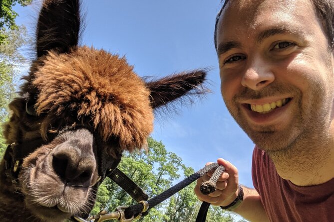 Alpaca and Llama Trek in Pleasant Valley - What the staff add to the experience