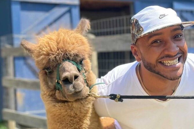 Alpaca and Llama Trek in Pleasant Valley - Weather and cancellation details