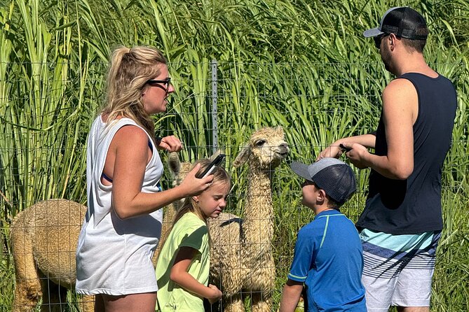 Alpaca Farm Experience on the Road to Hana - Planning the stop around the Hana Highway